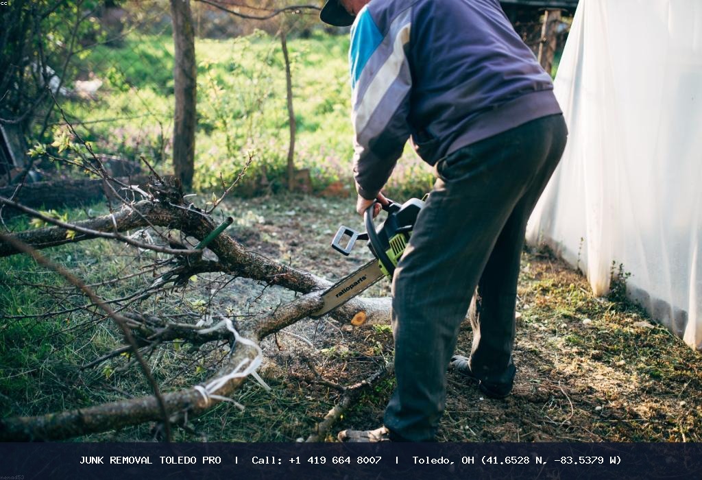 Chainsaws and tools used by Junk Removal Toledo Pro crew
